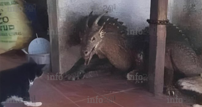 Franceville&nbsp;: La folle rumeur d’un «&nbsp;dragon&nbsp;» sème la panique, l’infox démontée par les autorités