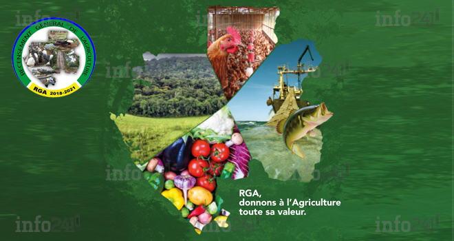Pleins feux sur la phase 1 du Recensement général de l’agriculture (RGA) du Gabon