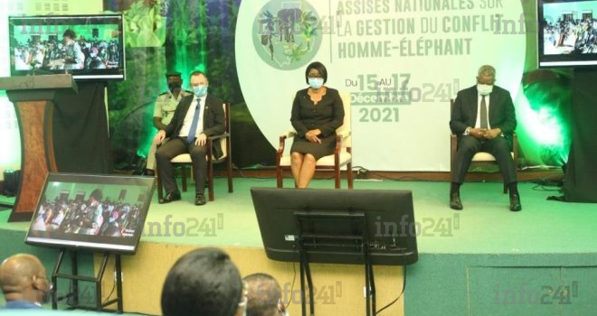 Clôture des Assises gabonaises sur le conflit homme-éléphant et ses 5 milliards pour 2022