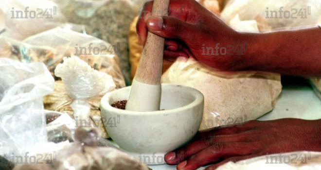 L’OMS pour une médecine traditionnelle africaine &laquo;&nbsp;développée&nbsp;&raquo; comme celle chinoise