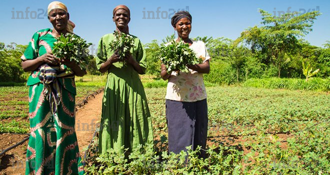 Sommet Dakar 2&nbsp;: l’Afrique obtient 30 milliards de dollars pour sa souveraineté alimentaire