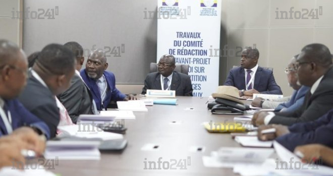 Découpage électoral et lois sur les partis au Gabon&nbsp;: ce que l’on sait des attendus des 2 comités