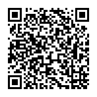 qrcode:https://www.info241.pro/legislatives-et-locales-2025-les-9-gendarmes-de-l-acer-enfin,10680