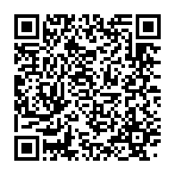 qrcode:https://www.info241.pro/franck-ping-une-bande-organisee-a-profite-des-errances-du,4798