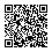 qrcode:https://www.info241.pro/les-longs-crayons-de-la-diaspora-et-bongoharam-ali,762