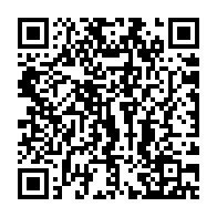 qrcode:https://www.info241.pro/accident-a-acae-grave-collision-entre-un-poids-lourd-et-un-4x4,7849