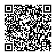 qrcode:https://www.info241.pro/libre-circulation-en-zone-cemac-des-concertations-a-libreville,113