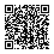 qrcode:https://www.info241.pro/l-exposition-retro-vision-de-martha-ccolque-s-invite-a-l,5784