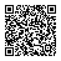 qrcode:https://www.info241.pro/mozambique-manifestations-meurtrieres-apres-la-prestation-de,2281