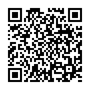 qrcode:https://www.info241.pro/etats-unis-huit-enfants-abattus-lors-de-violences,2796
