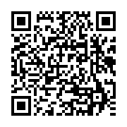 qrcode:https://www.info241.pro/un-avion-de-senegal-airlines-percute-un-homme-lors-d-un,210