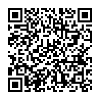 qrcode:https://www.info241.pro/jumeaux-morts-nes-disparus-le-chul-confirme-les-faits-une,3697