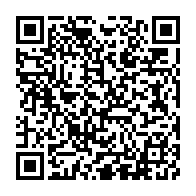 qrcode:https://www.info241.pro/le-belge-patrick-claes-abandonne-la-setrag-a-ses-deraillements,4497