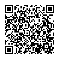 qrcode:https://www.info241.pro/tchad-une-ressortissante-chinoise-abattue-dans-la-capitale-au,3695