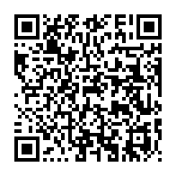 qrcode:https://www.info241.pro/niger-10-militaires-tues-et-13-blesses-dans-une-attaque-pres-de,1647