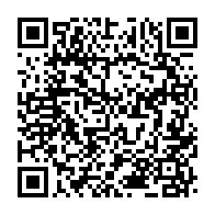 qrcode:https://www.info241.pro/la-holding-familiale-des-bongo-delta-synergie-muselle-la-cnlcei,1905