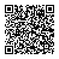 qrcode:https://www.info241.pro/intemperies-a-port-gentil-les-memes-causes-produisent-les-memes,6425