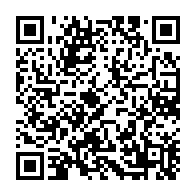 qrcode:https://www.info241.pro/presidentielle-2023-rio-noir-de-monde-pour-le-premier-grand,8147