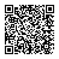 qrcode:https://www.info241.pro/mouila-un-gorille-qui-y-semait-la-panique-finit-sa-course-dans,8551