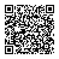 qrcode:https://www.info241.pro/gabon-seraphin-moundounga-propulse-vice-president-par-brice,10316